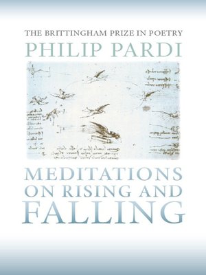 cover image of Meditations on Rising and Falling